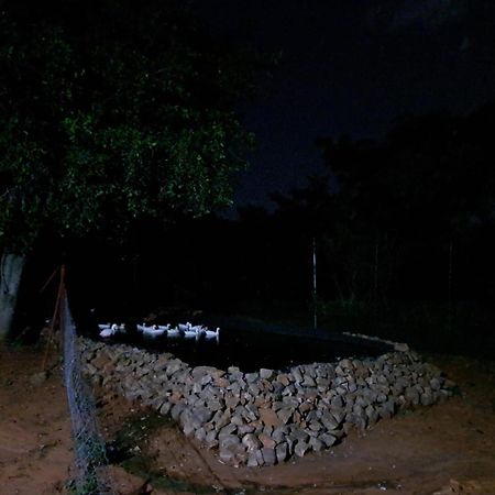 5 Sleeper Bushcamp Chalet Hartbeespoort Exteriér fotografie