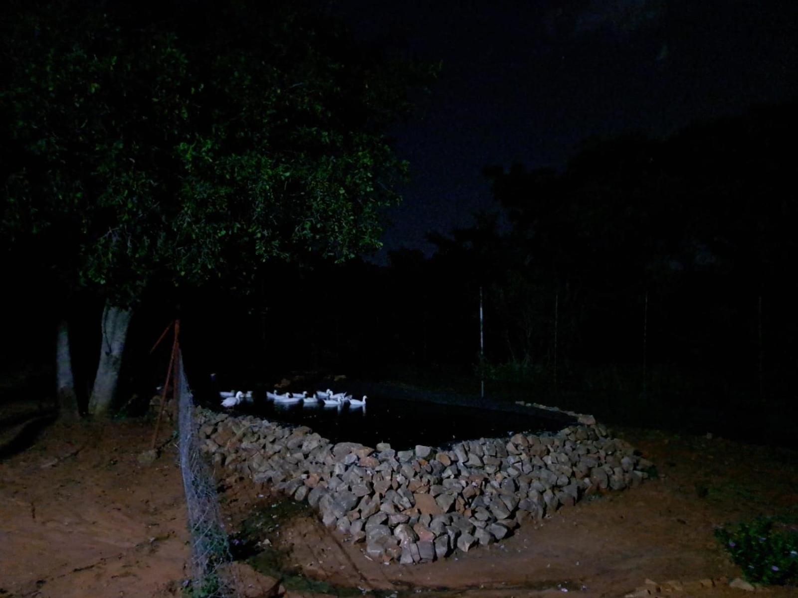 5 Sleeper Bushcamp Chalet Hartbeespoort Exteriér fotografie